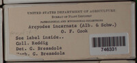 Image Associated With the Occurence